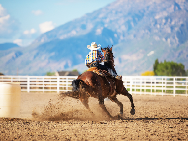 STF valida vaquejada no país e condiciona prática a regras de proteção animal